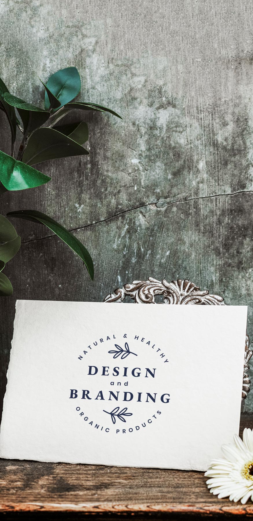 Special Services 2 99Creative Design Studio branding3